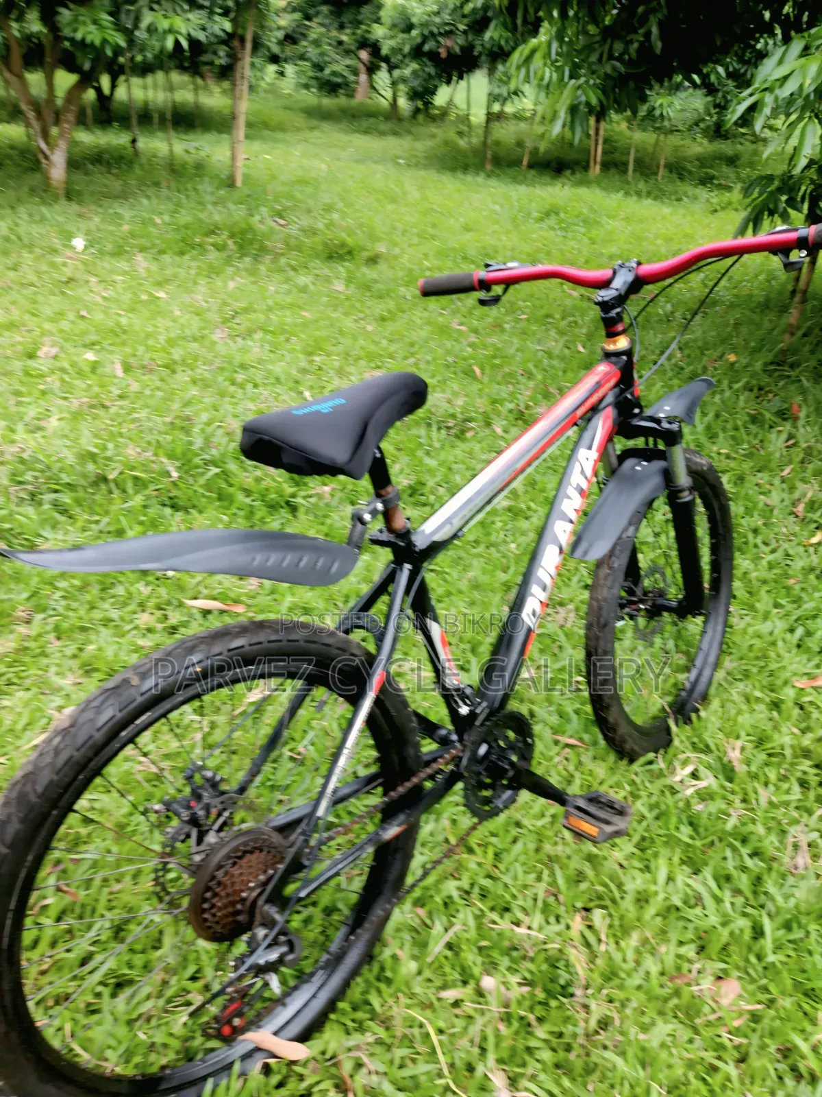Duranta 24" Gear Cycle – Full Serviced Perfect for Office | ৳7,000