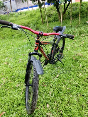 Duranta 24" Gear Cycle – Full Serviced Perfect for Office | ৳7,000