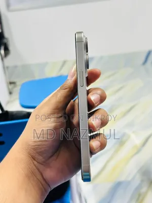 Apple iPhone 15 Pro Max 256 GB Silver