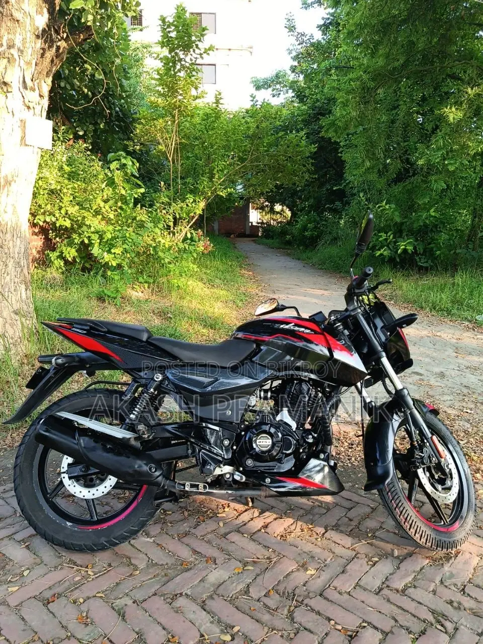 Bajaj Pulsar 150 2024 Black