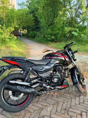 Bajaj Pulsar 150 2024 Black