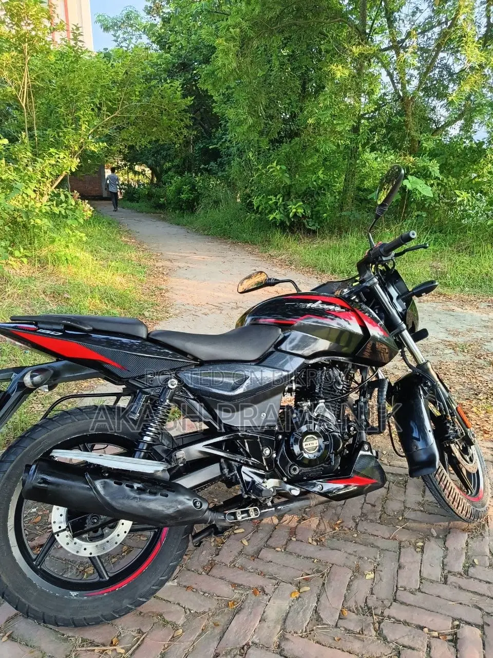 Bajaj Pulsar 150 2024 Black