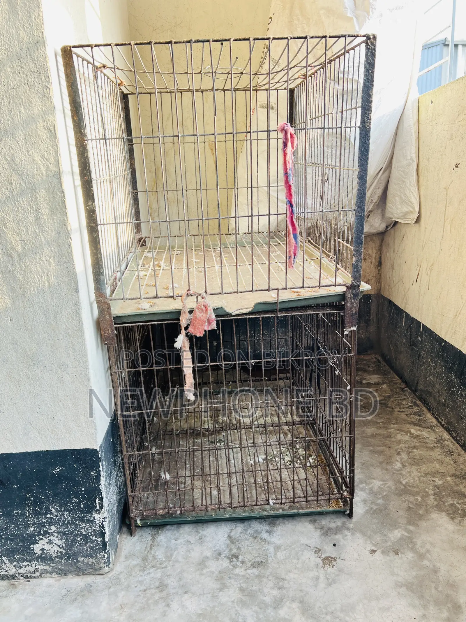 বড় খচা সাথে ট্রে আছে ২টা খাচার