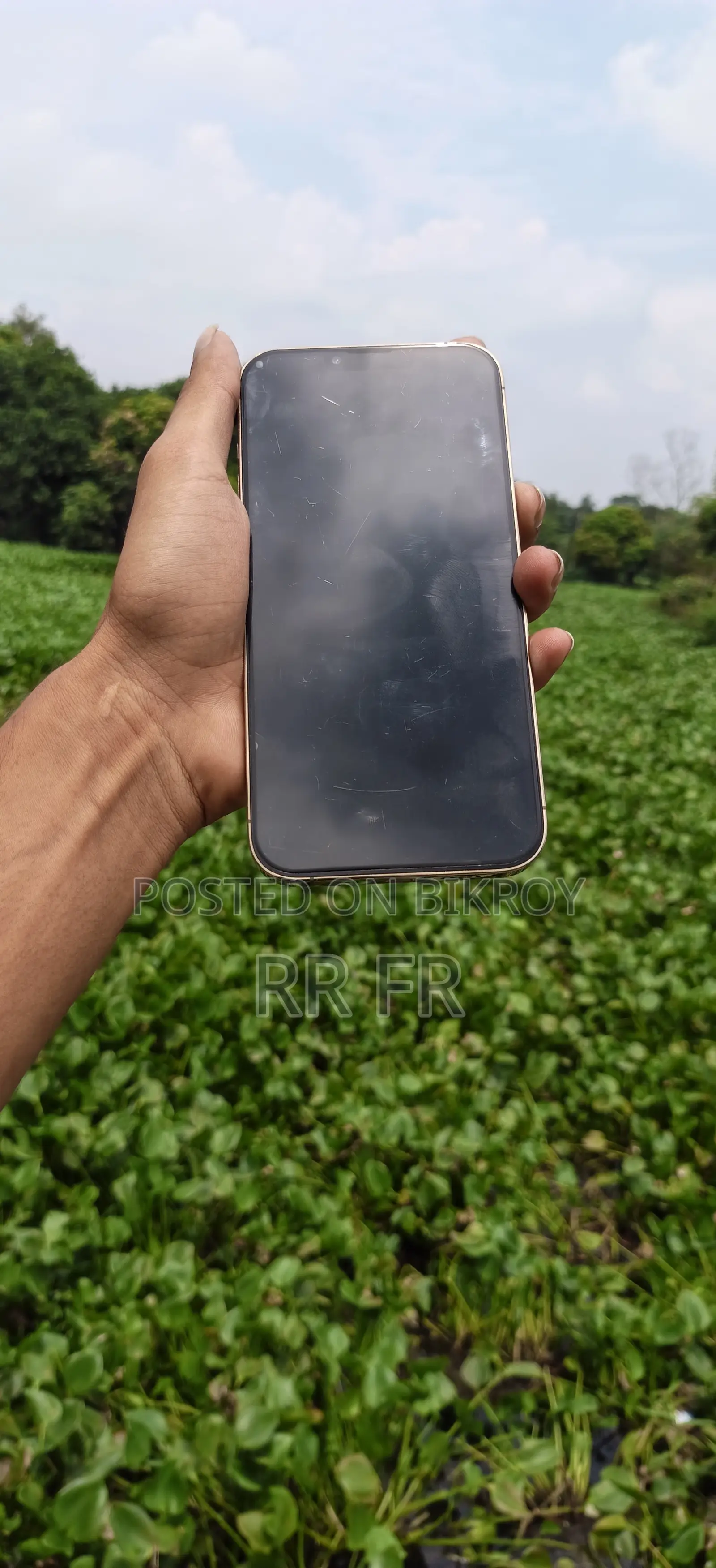 Apple iPhone 13 Pro Max 256 GB Gold