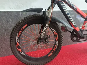 Falcon Kids Cycle (Double Disc Brake) – ভালো কন্ডিশন!