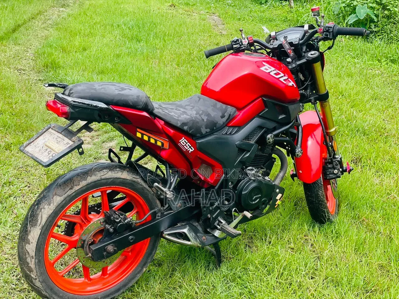 Runner Bolt 165R 2024 Red