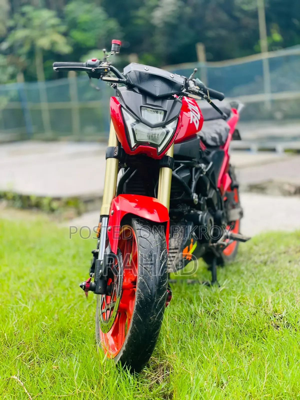 Runner Bolt 165R 2024 Red