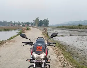 Bajaj Discover 110 2019 Black