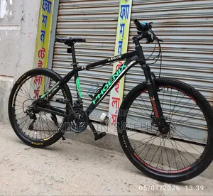 Phoenix Argus 26" New Conditions
