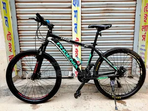 Phoenix Argus 26" New Conditions