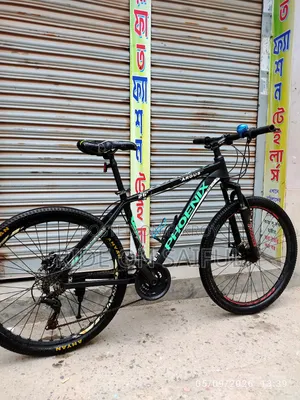 Phoenix Argus 26" New Conditions