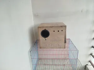 খাঁচা আর ব্রিডিং বক্স সেল করা হবে