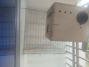 খাঁচা আর ব্রিডিং বক্স সেল করা হবে