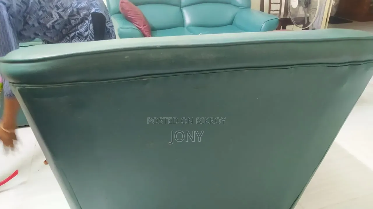 Furniture Sofa