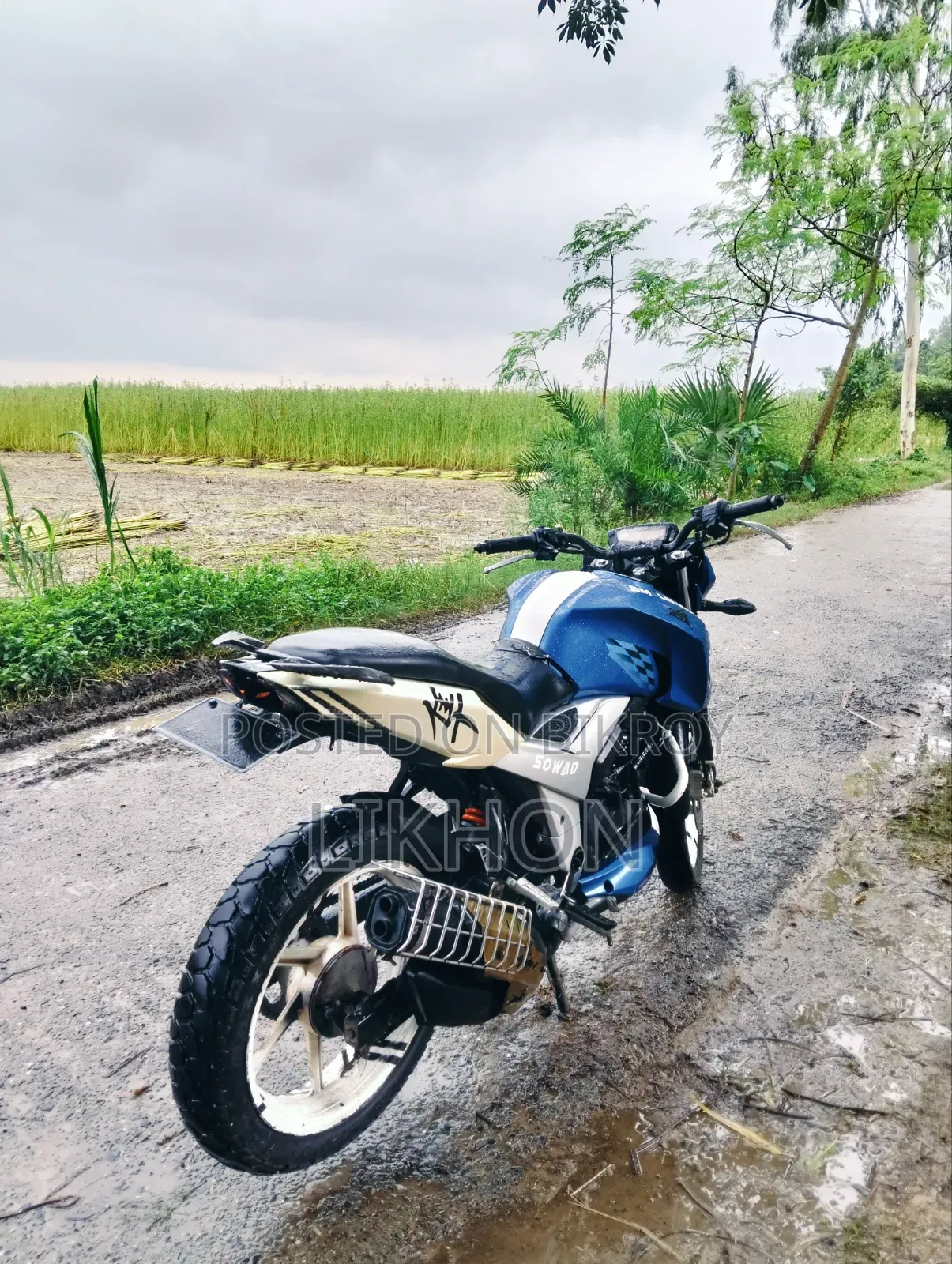 TVS Apache RTR 160 4V 2021 Blue