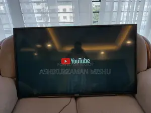 Sony Bravia TV- 48