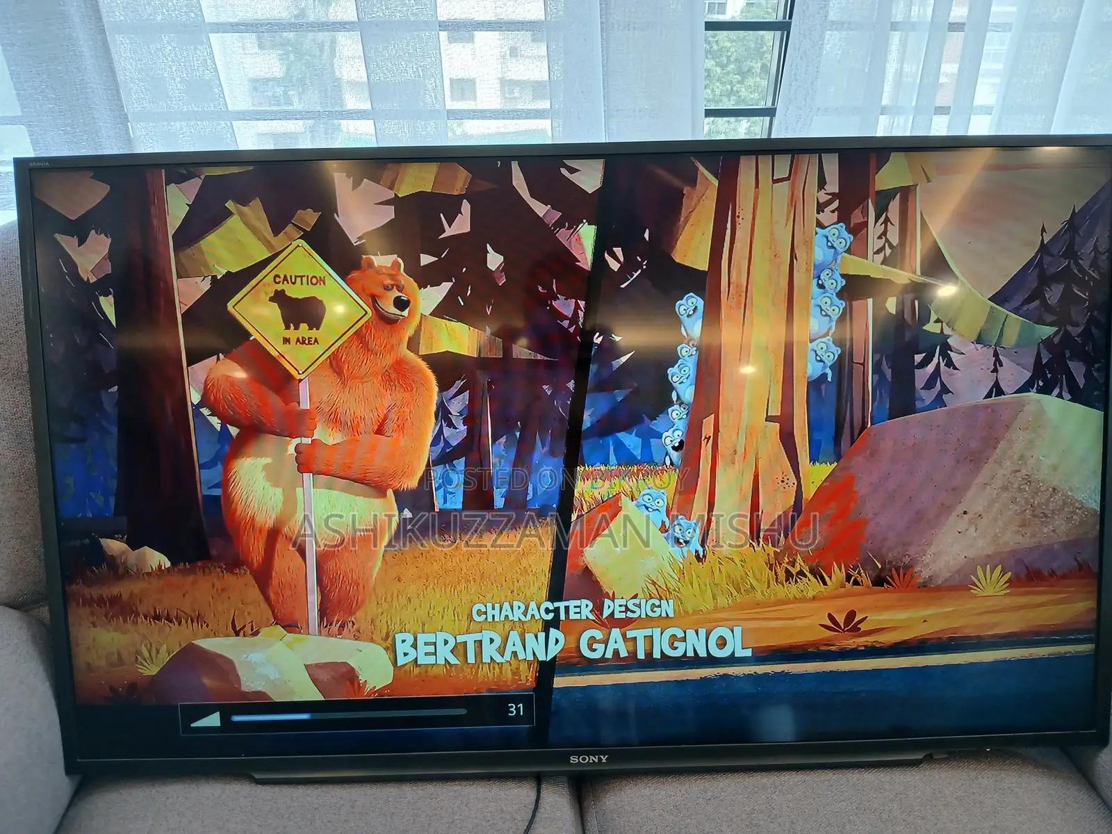 Sony Bravia TV- 48