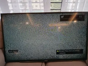 Sony Bravia TV- 48
