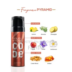 Wild Stone Code Copper Body Perfume – Fresh Long-Lasting Fragrance