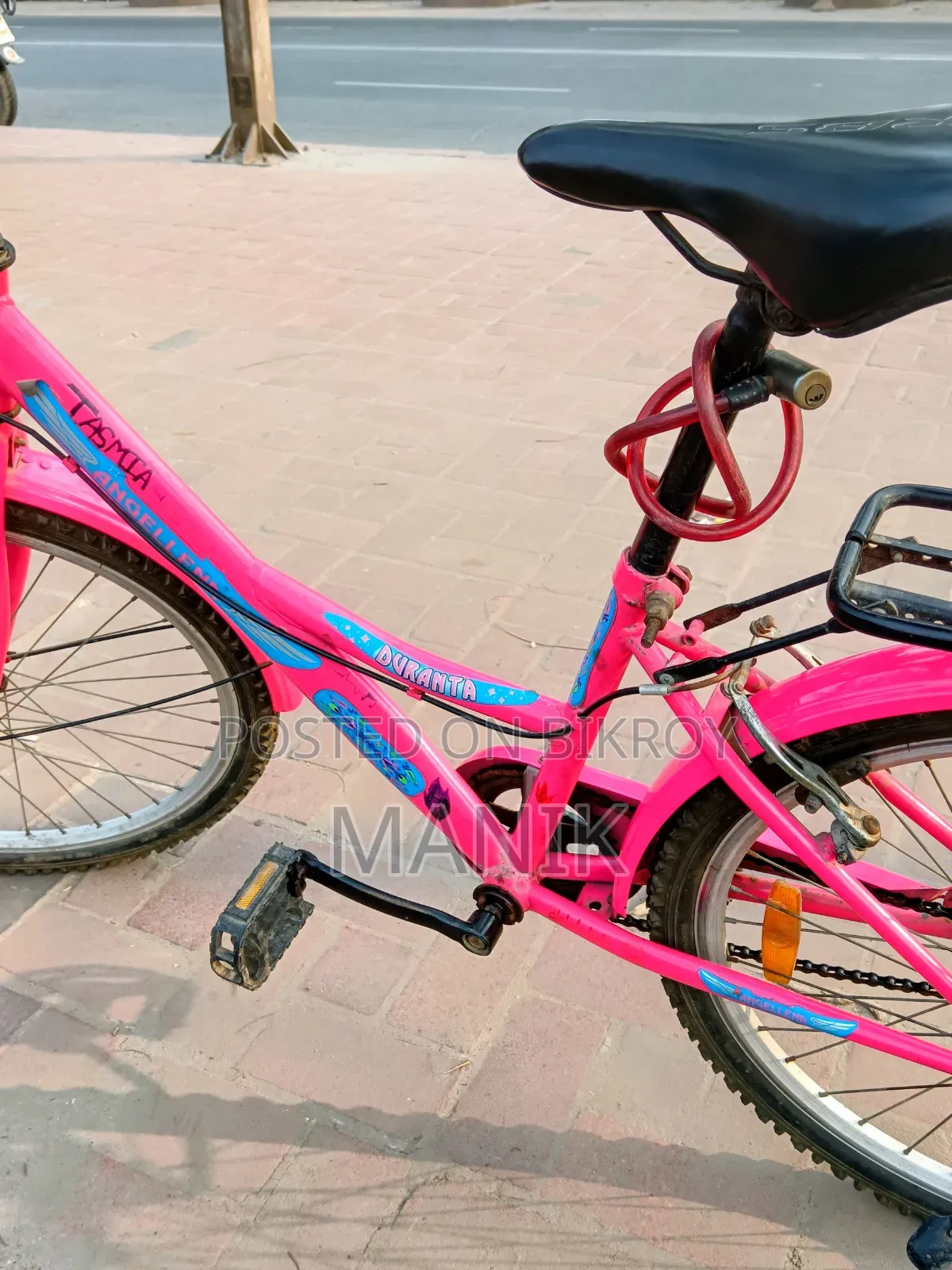 Cycle Ledes