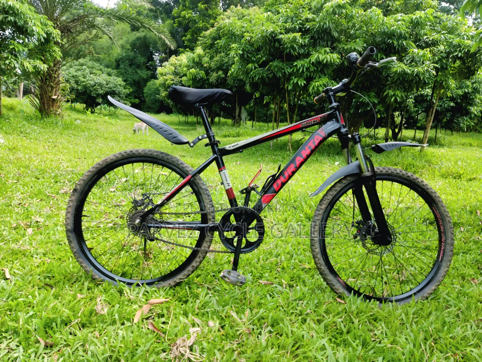 Duranta 24" Non Gear With Suspension – Full Serviced Office Perfect