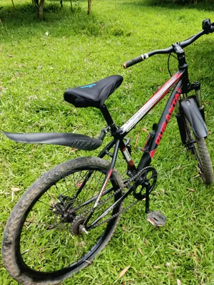 Duranta 24" Non Gear With Suspension – Full Serviced Office Perfect