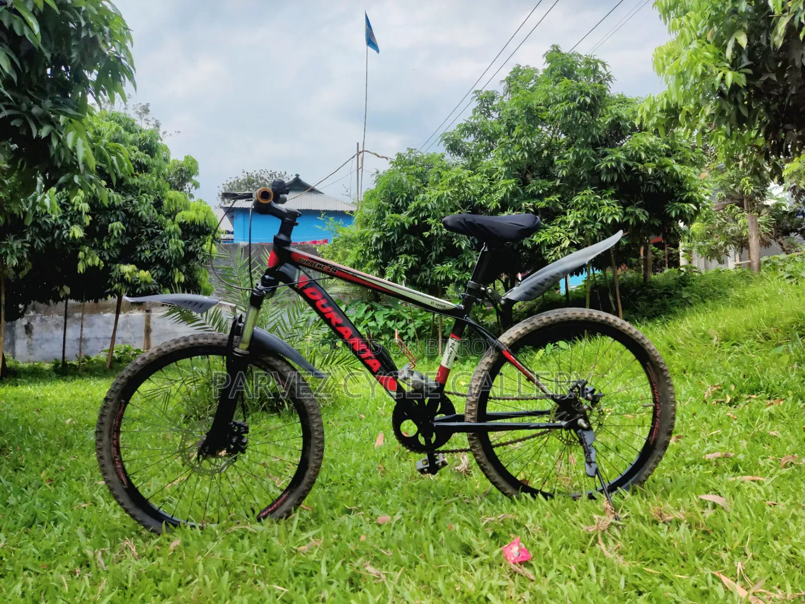 Duranta 24" Non Gear With Suspension – Full Serviced Office Perfect