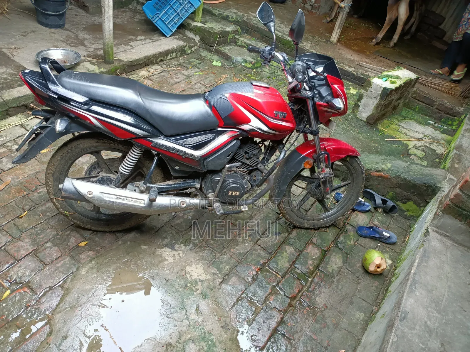 TVS Metro 2020 Red