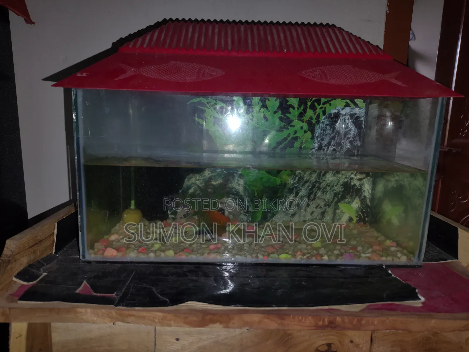 Aquarium With Fish