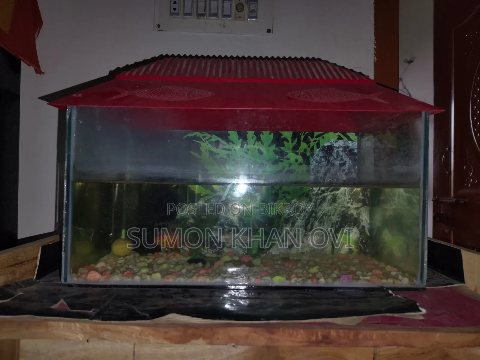 Aquarium With Fish