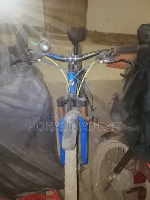 Phonix Bicycle