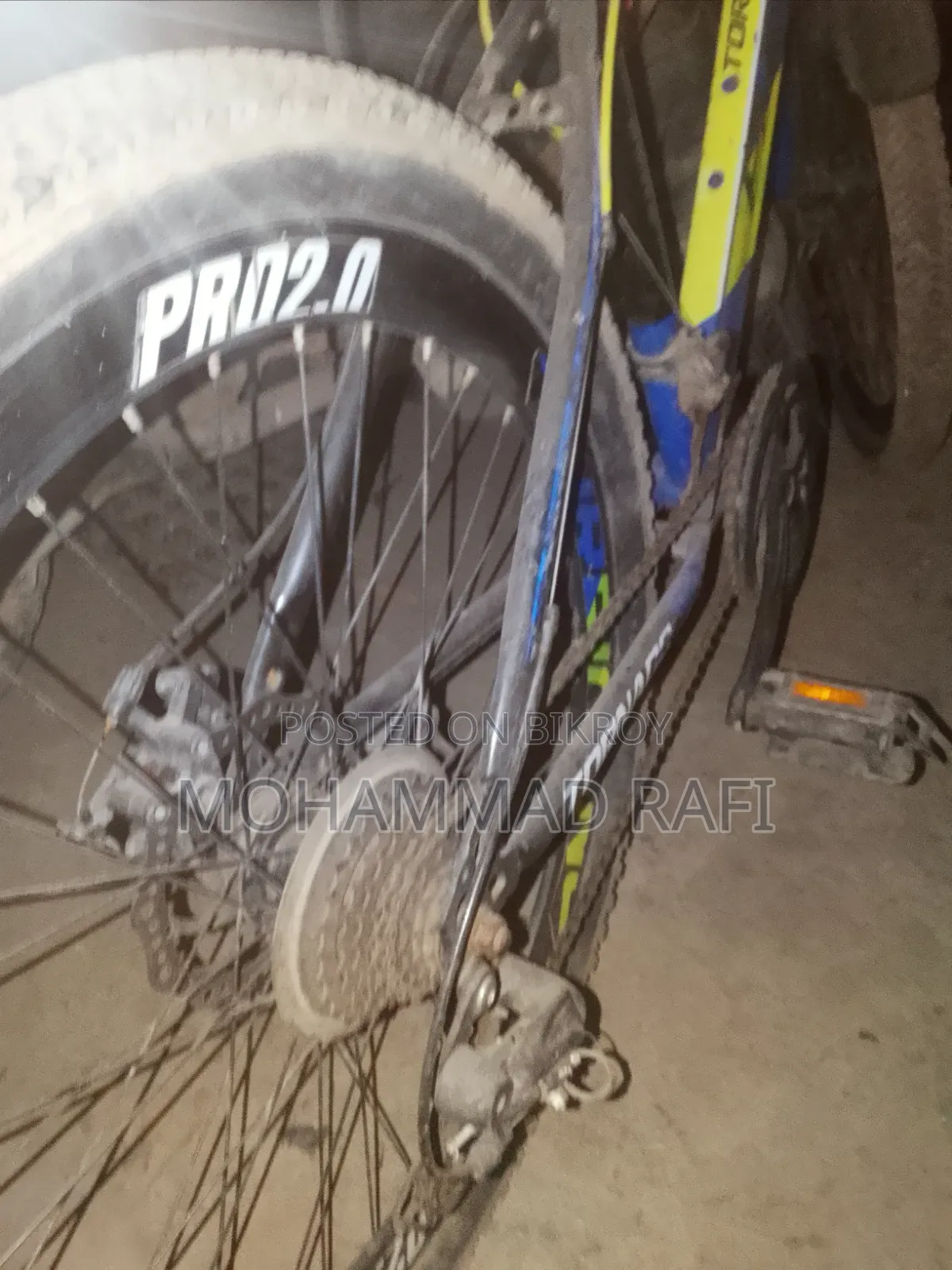 Phonix Bicycle