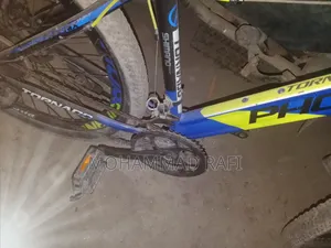 Phonix Bicycle