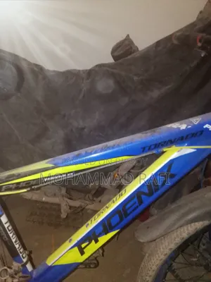 Phonix Bicycle