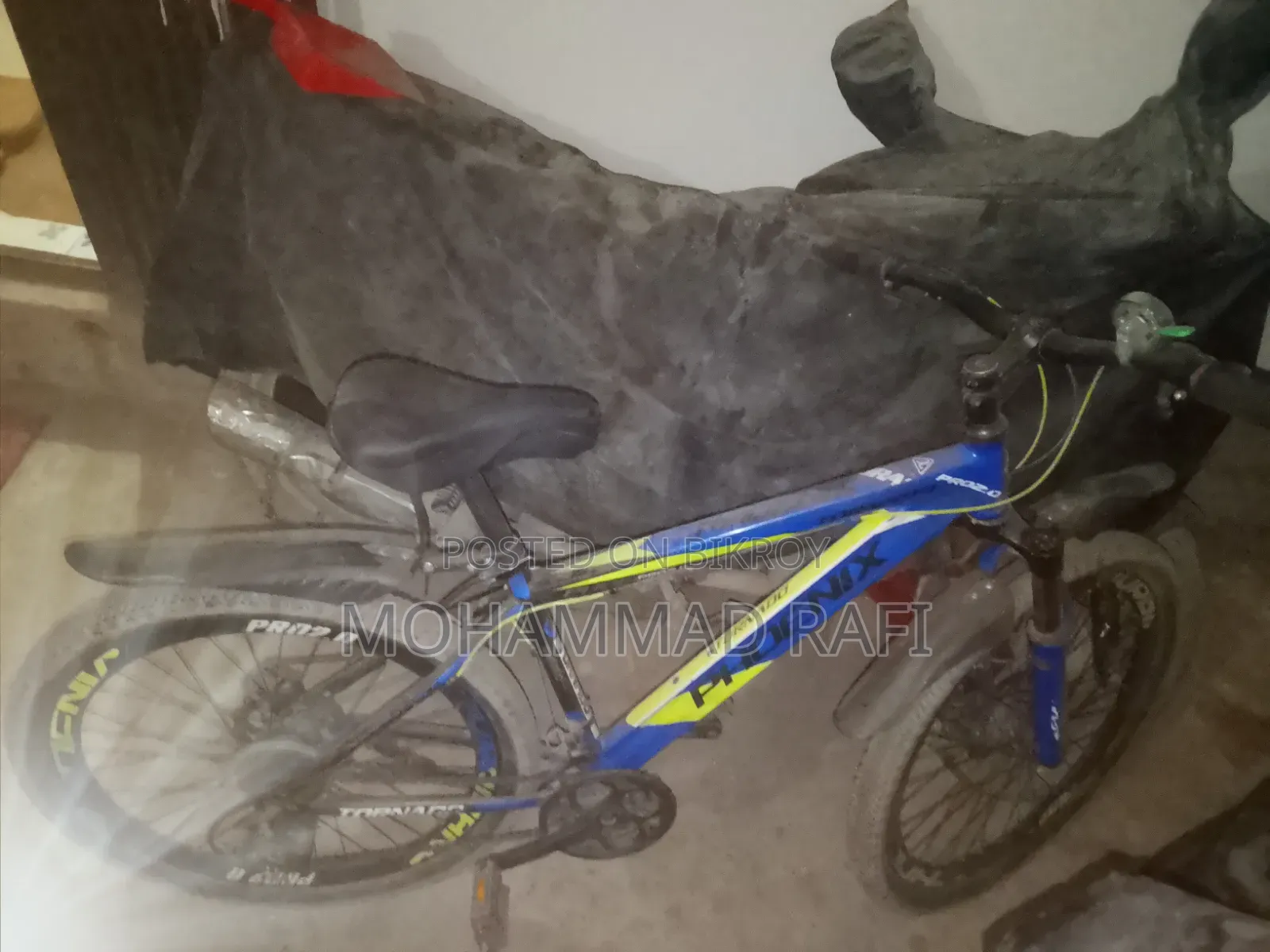 Phonix Bicycle
