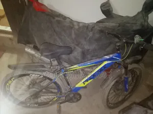 Phonix Bicycle