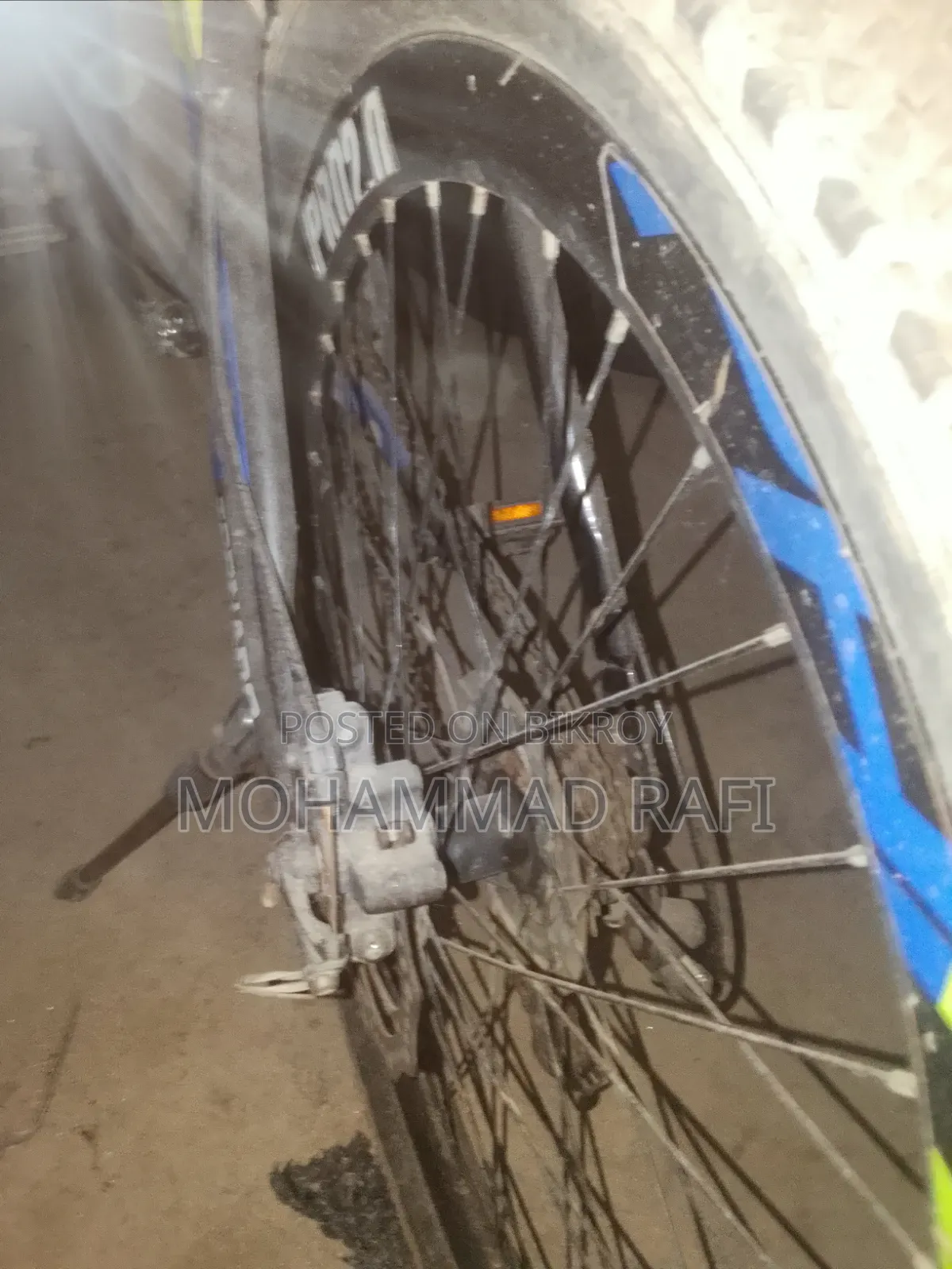 Phonix Bicycle