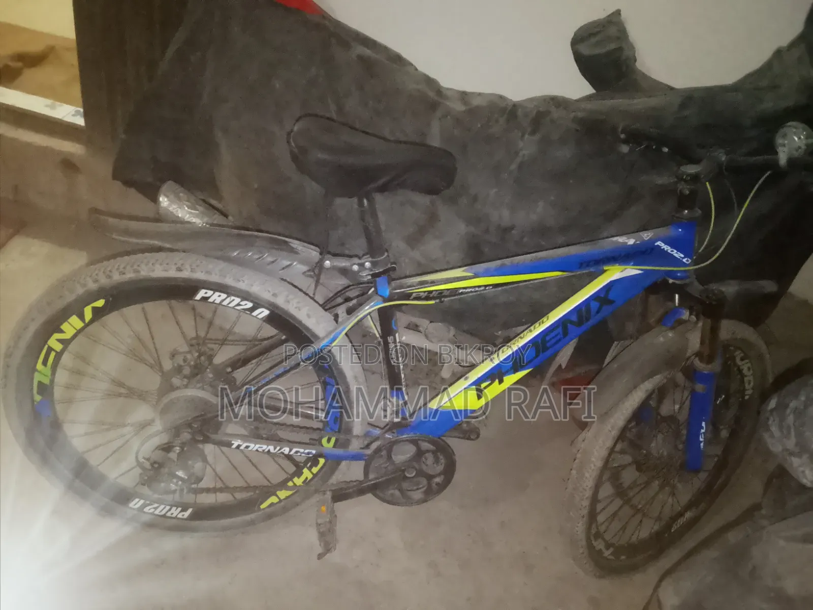 Phonix Bicycle