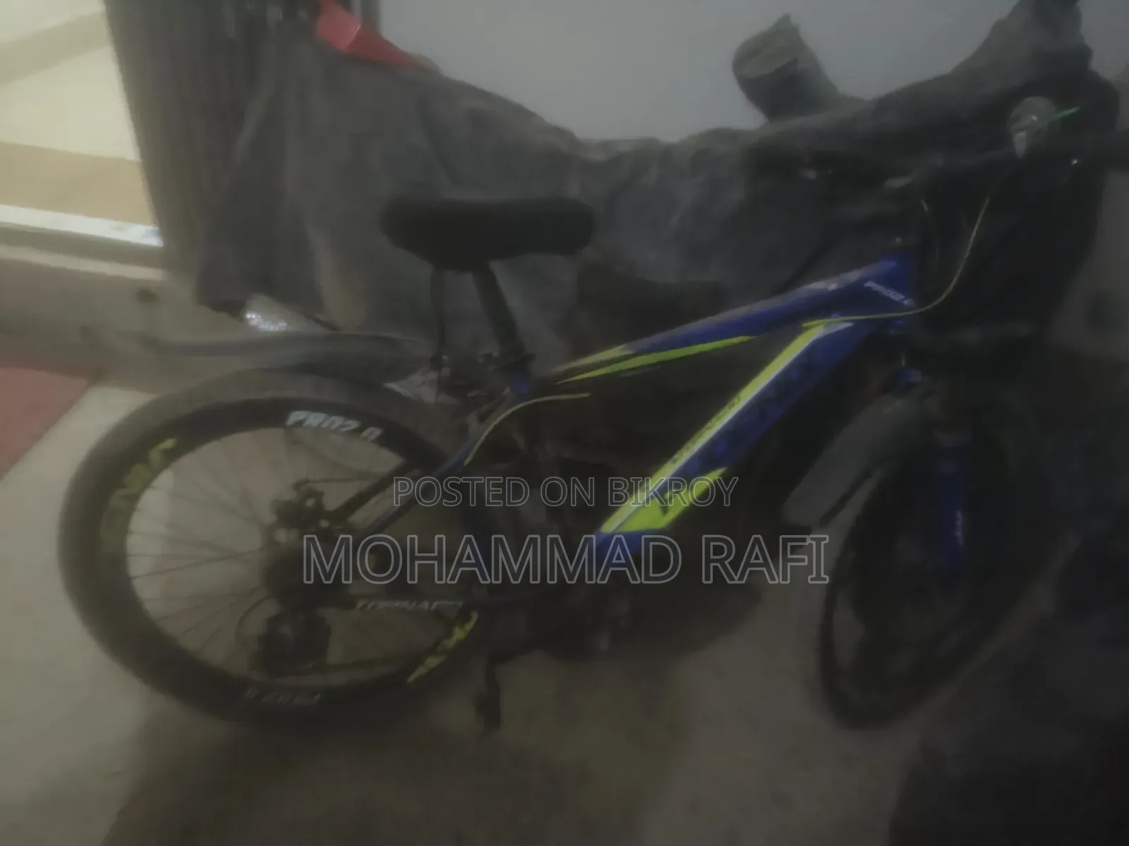 Phonix Bicycle
