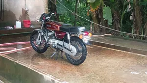ইয়ামাহা ১৯৯৬ রেড