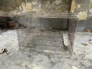 খাঁচা ১৮/২০ ইঞ্চি