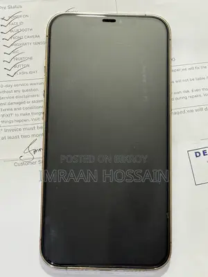 Apple iPhone 12 Pro Max 256 GB Gold