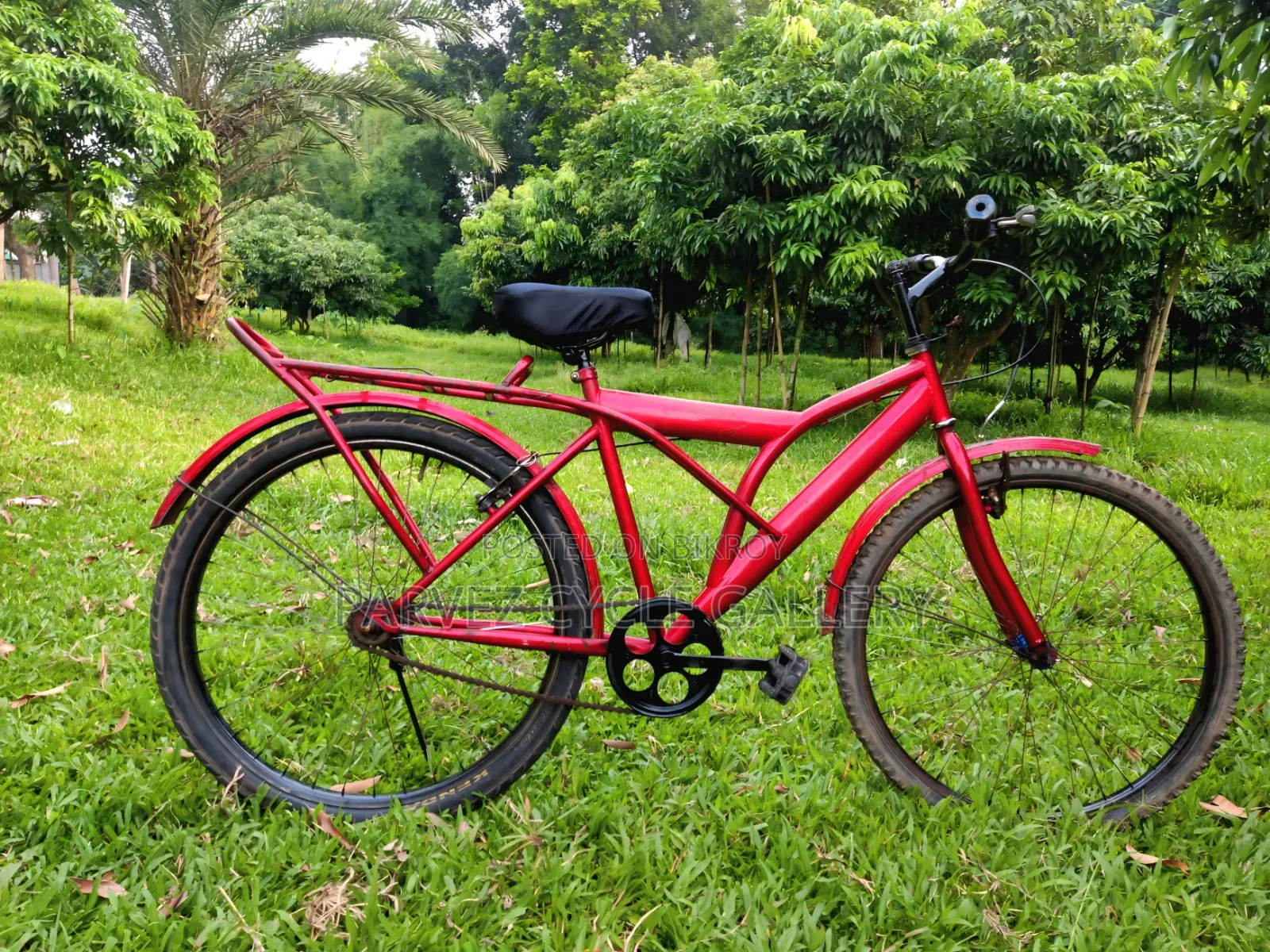 Reflex 26" Full Serviced Cycle – Perfect for Office Daily Ride |