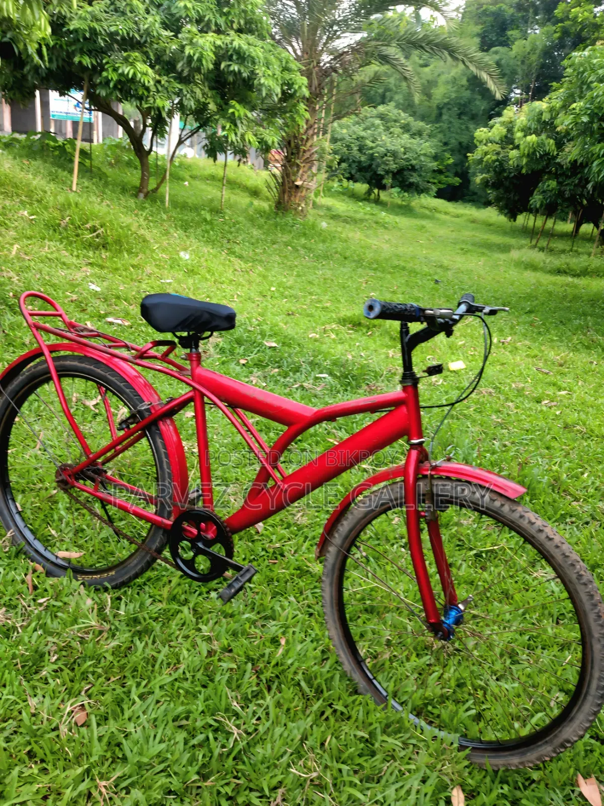 Reflex 26" Full Serviced Cycle – Perfect for Office Daily Ride |