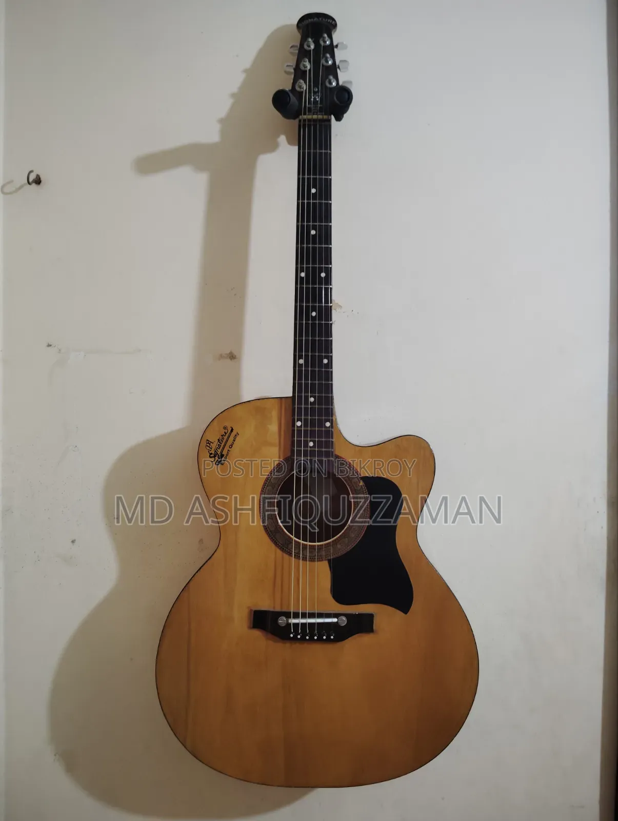 Signature Topaz 265 Acoustic Guitar