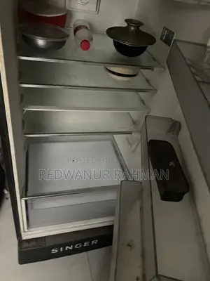 Fridge Singer Non Frost