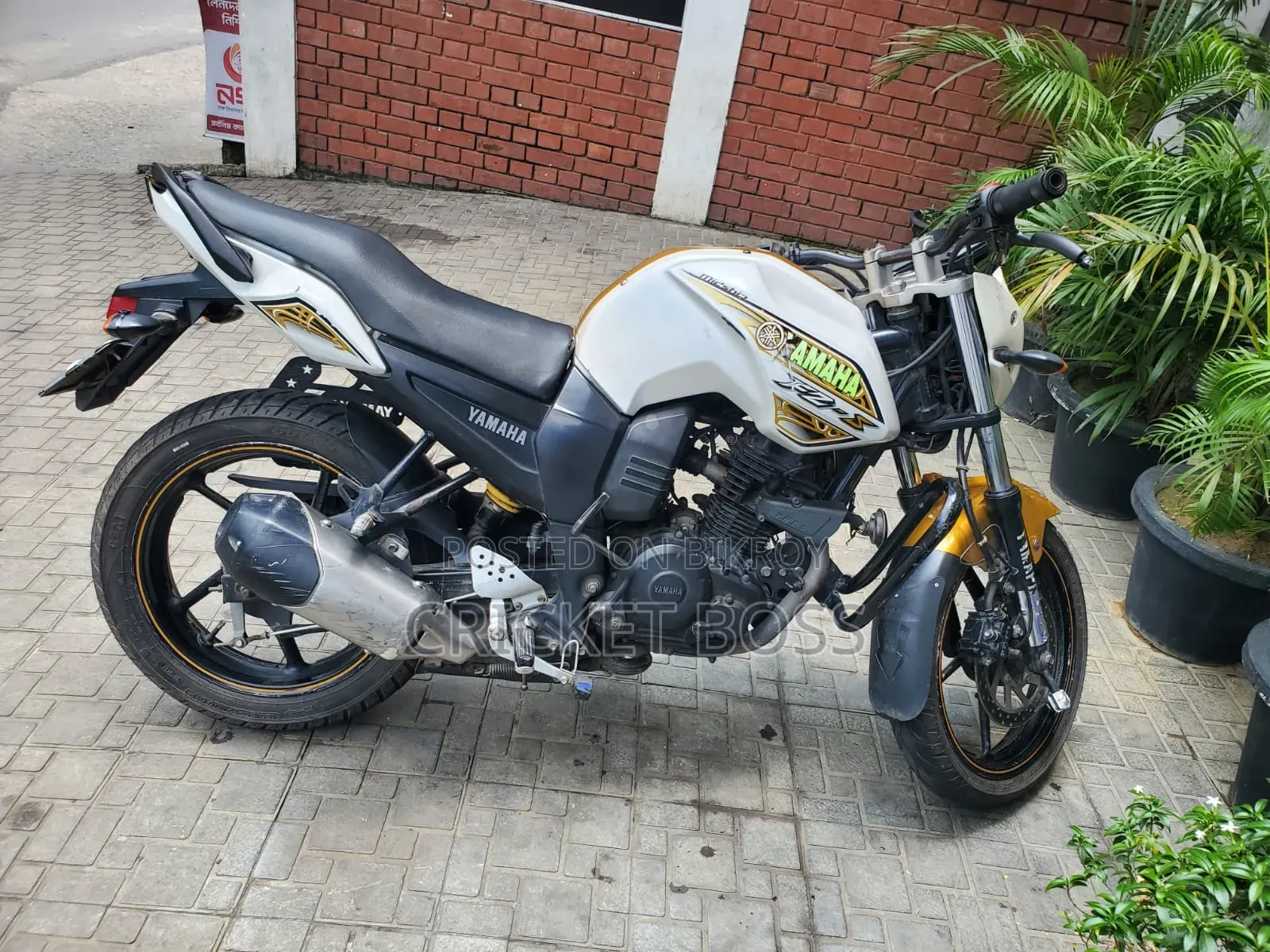 Yamaha FZ 2014 White