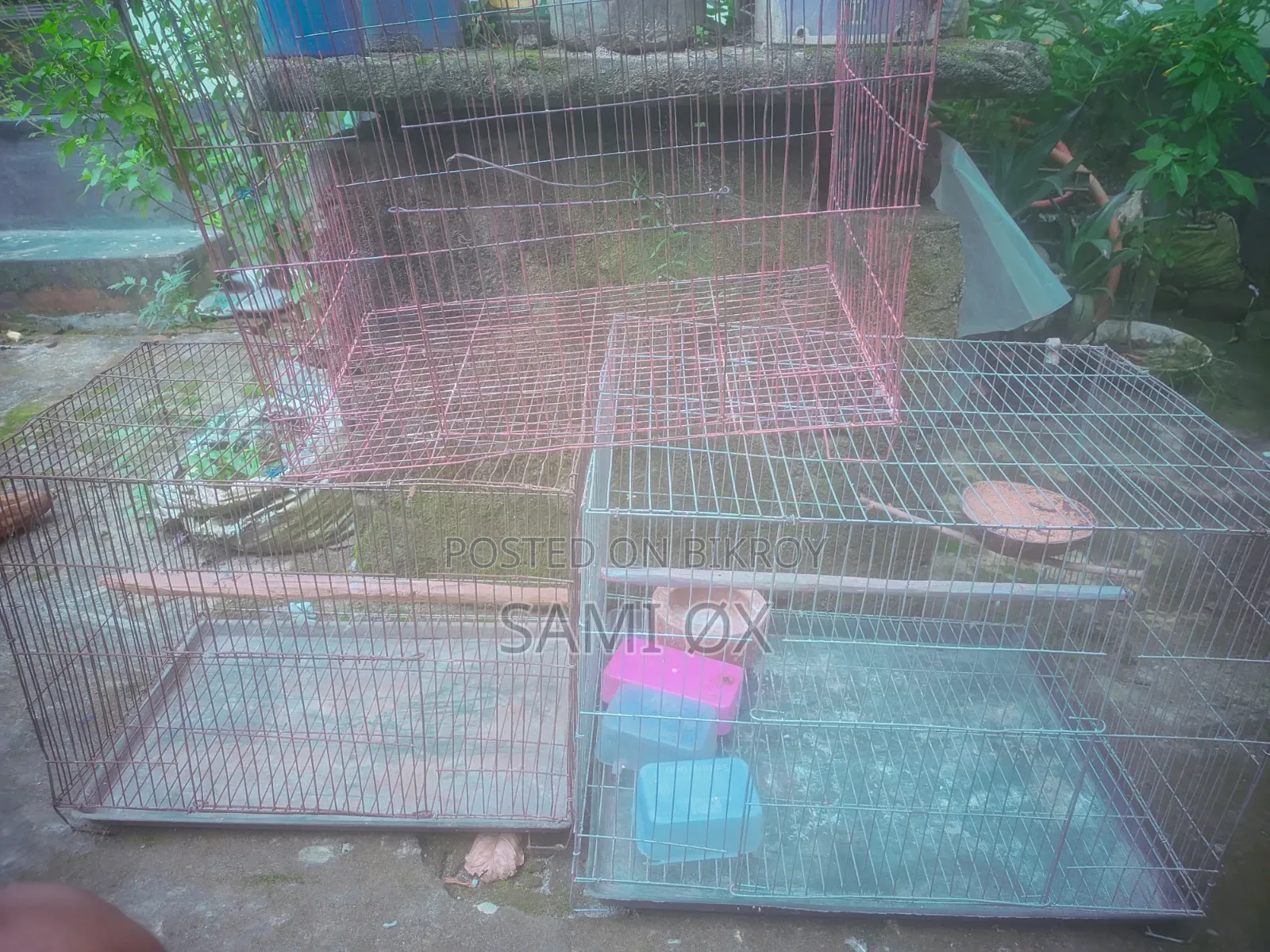 পাখির খাচা