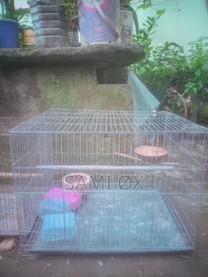 পাখির খাচা