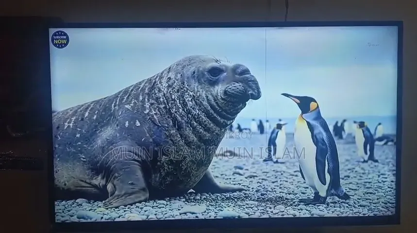 Smart LED TV Collection